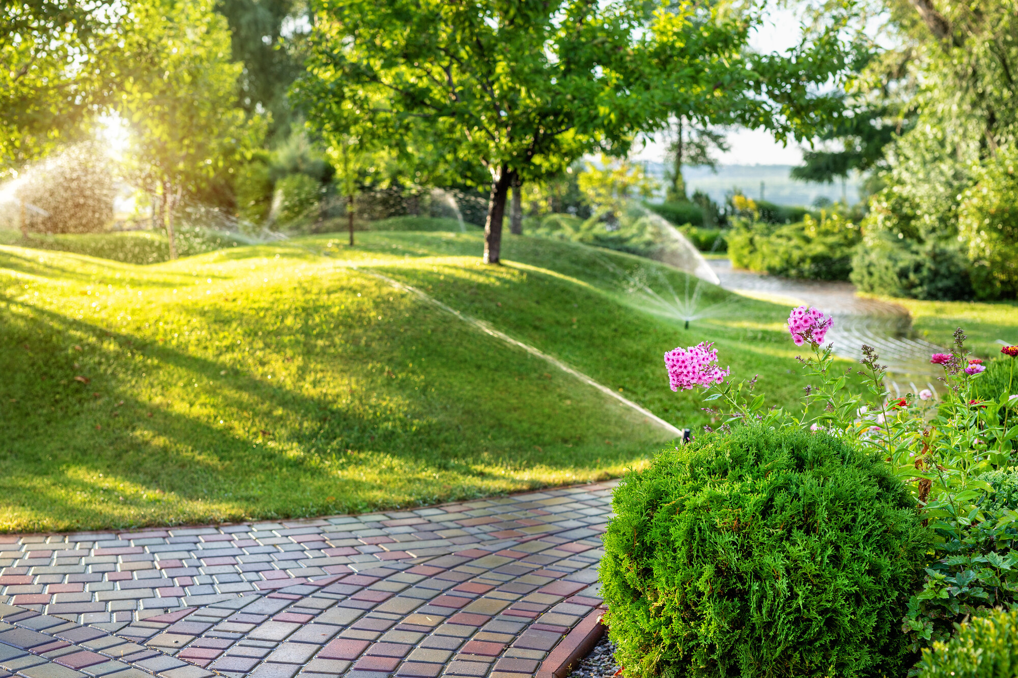 irrigazione giardini Bergamo consulenza